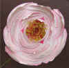 peonia.JPG (2408493 byte)